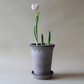 KØBENHAVNER Grey Terracotta Tall Pot and Saucer, 7.1" x 9.4"H, with delicate detailing.