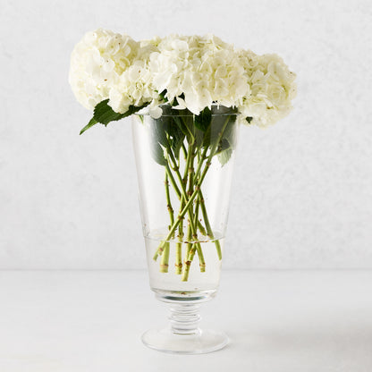 Large Oxford Glass Vase with white hydrangeas, featuring a hand-molded rim and clear glass.