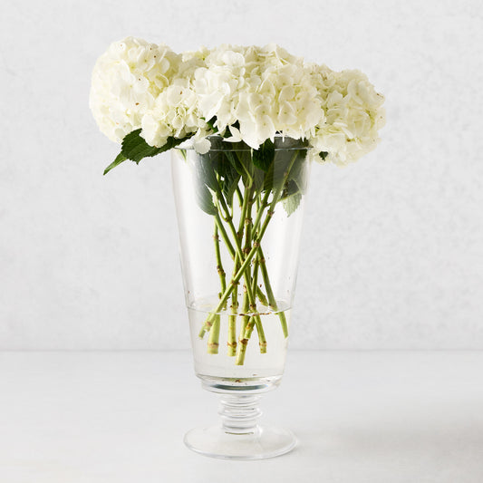 Large Oxford Glass Vase with white hydrangeas, featuring a hand-molded rim and clear glass.