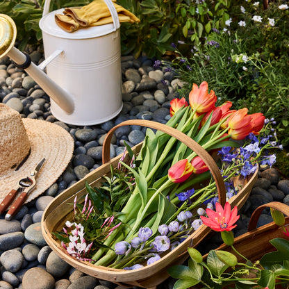 Large wooden garden trug filled with red tulips and purple flowers, next to a straw hat and watering can.