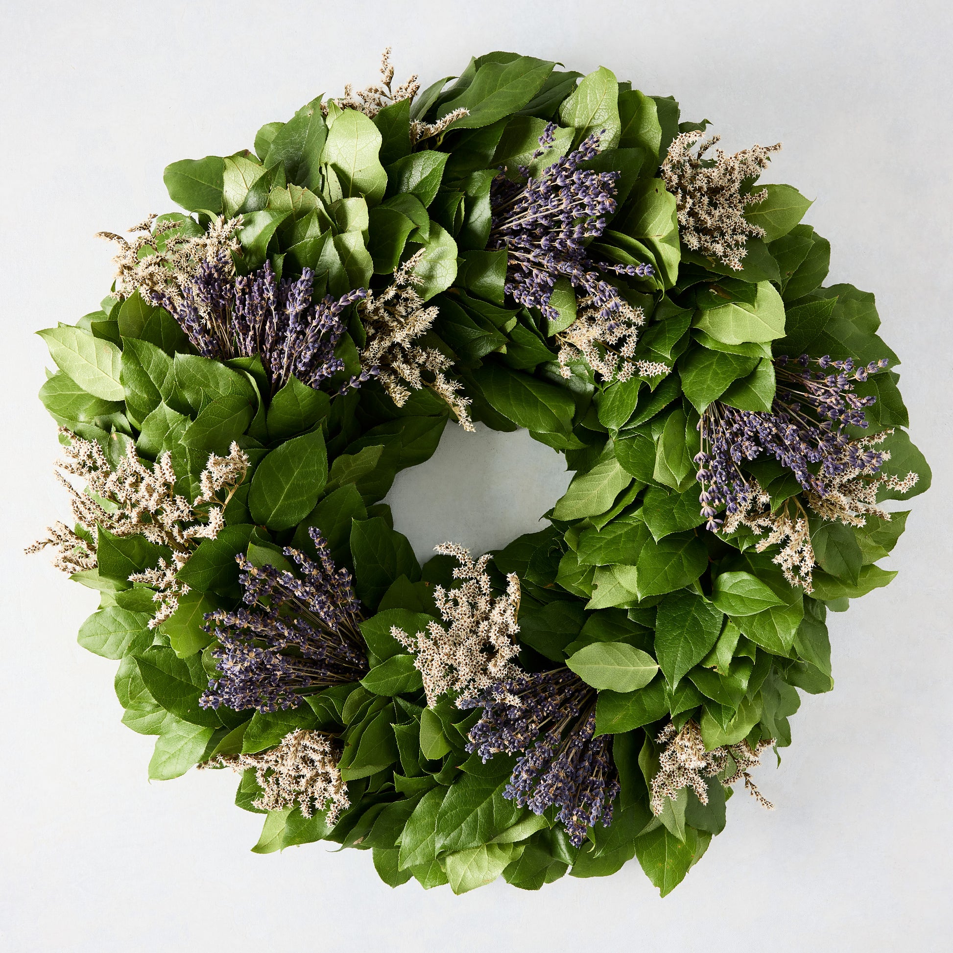 Green privet leaves wreath with bundles of purple lavender and dried white flowers.