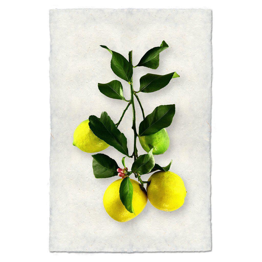 Four lemons print art on homemade paper