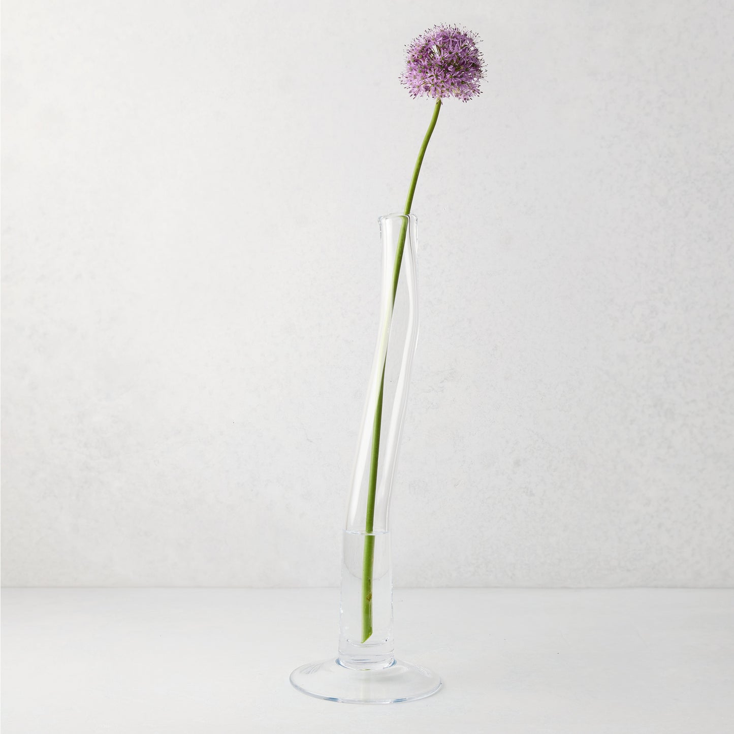 Large Maddie scissor-cut clear glass vase with a circular base, holding a single purple allium flower.
