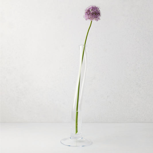 Large Maddie scissor-cut clear glass vase with a circular base, holding a single purple allium flower.