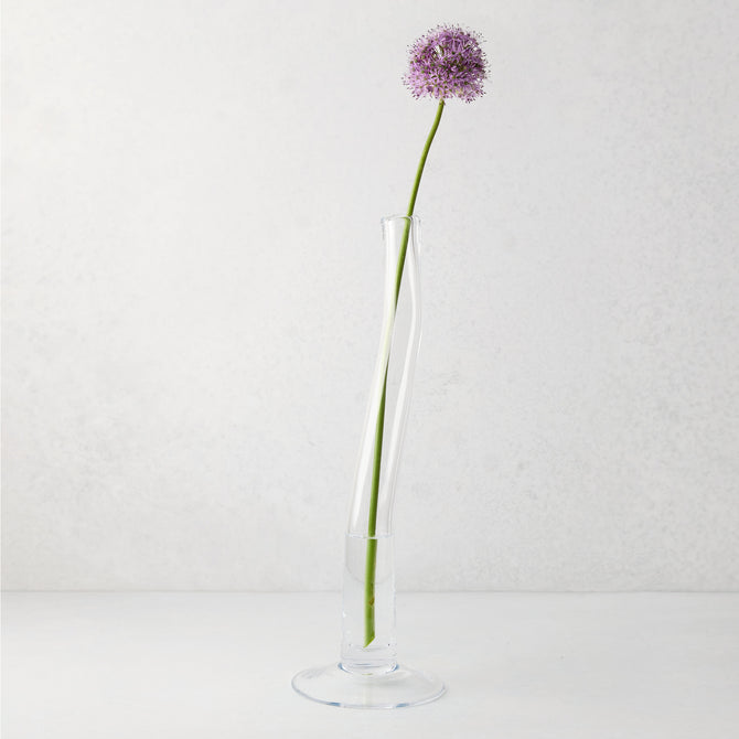 Large Maddie scissor-cut clear glass vase with a circular base, holding a single purple allium flower.