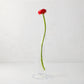 Maddie Small Scissor-Cut Glass Vase with a single red ranunculus flower.