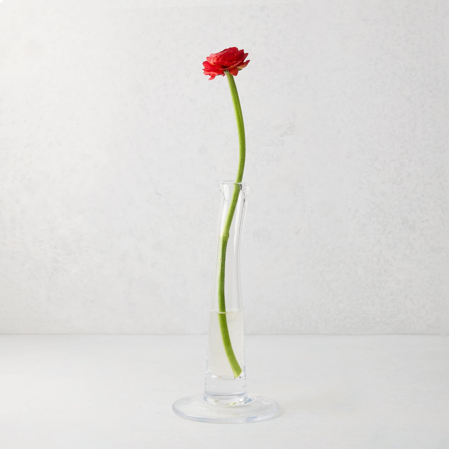Maddie Small Scissor-Cut Glass Vase with a single red ranunculus flower.