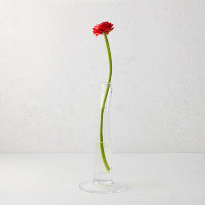 Maddie Small Scissor-Cut Glass Vase with a single red ranunculus flower.