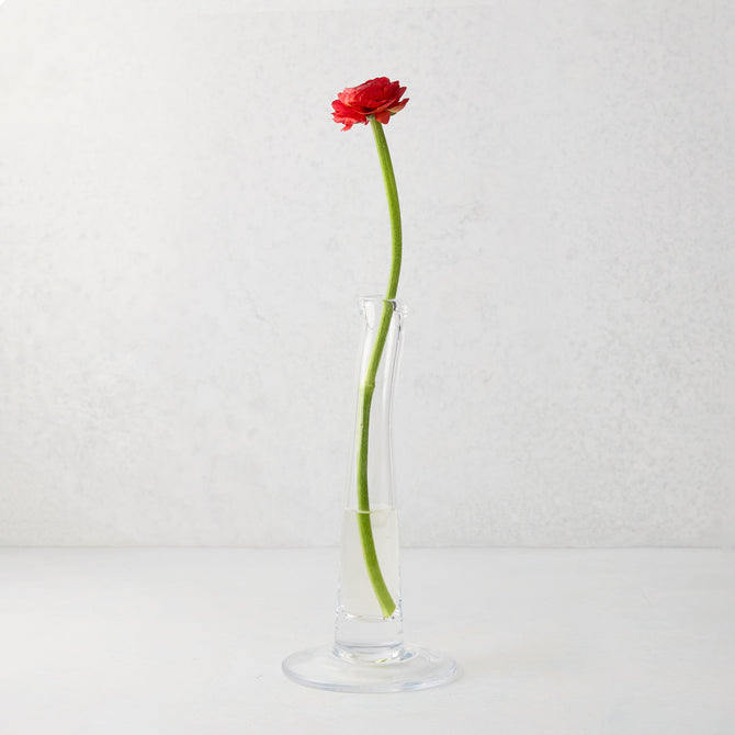 Maddie Small Scissor-Cut Glass Vase with a single red ranunculus flower.
