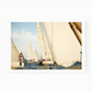 Sailboats Photograph By Matt Albiani