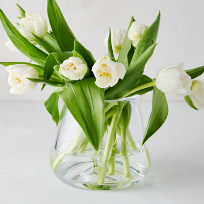 Mia Scissor-Cut Round Vase, clear mouth-blown glass, 5.5"Dia x 6"H, holding white tulips.