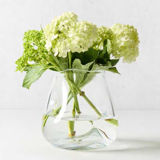 Clear mouth-blown glass Mia vase with a unique scissor-cut rim, holding a bouquet of green hydrangea flowers.