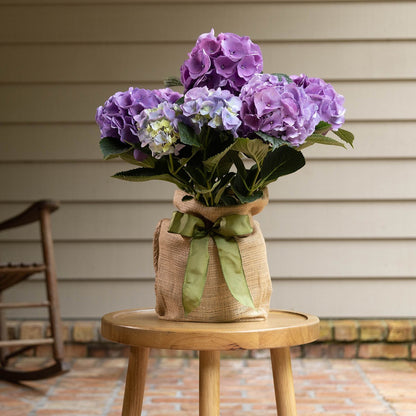 Hudson Grace Mini Hydrangea Gift Tree with purple blooms in a burlap-wrapped pot with a green ribbon on a wooden stool