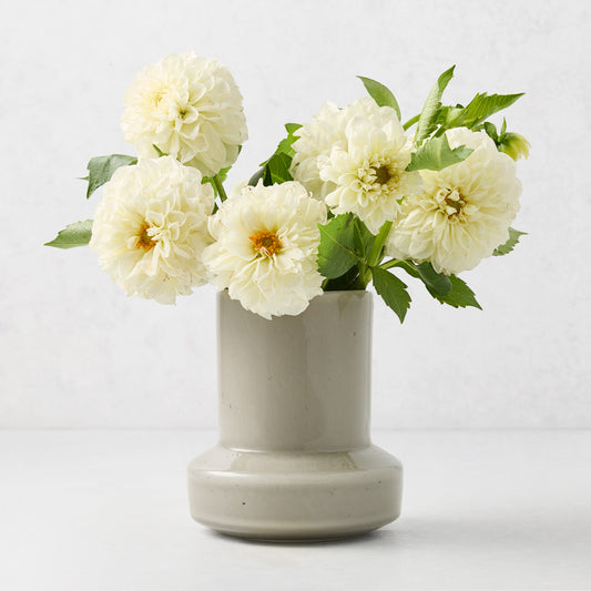 Mini taupe hand-blown glass vase with a geometric silhouette holding a bouquet of cream-colored dahlias.