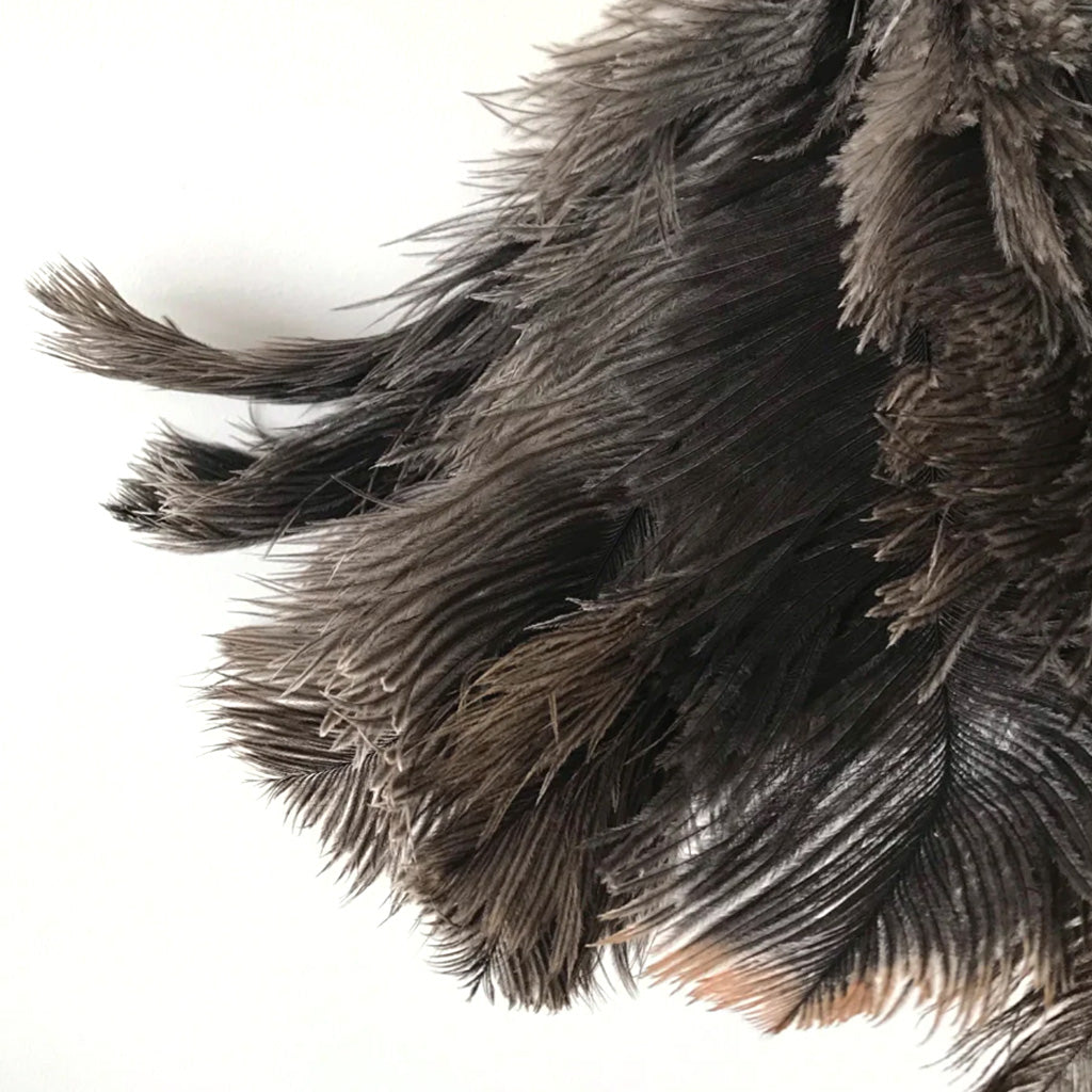Natural feather duster with soft, dark brown ostrich feathers on a white background.