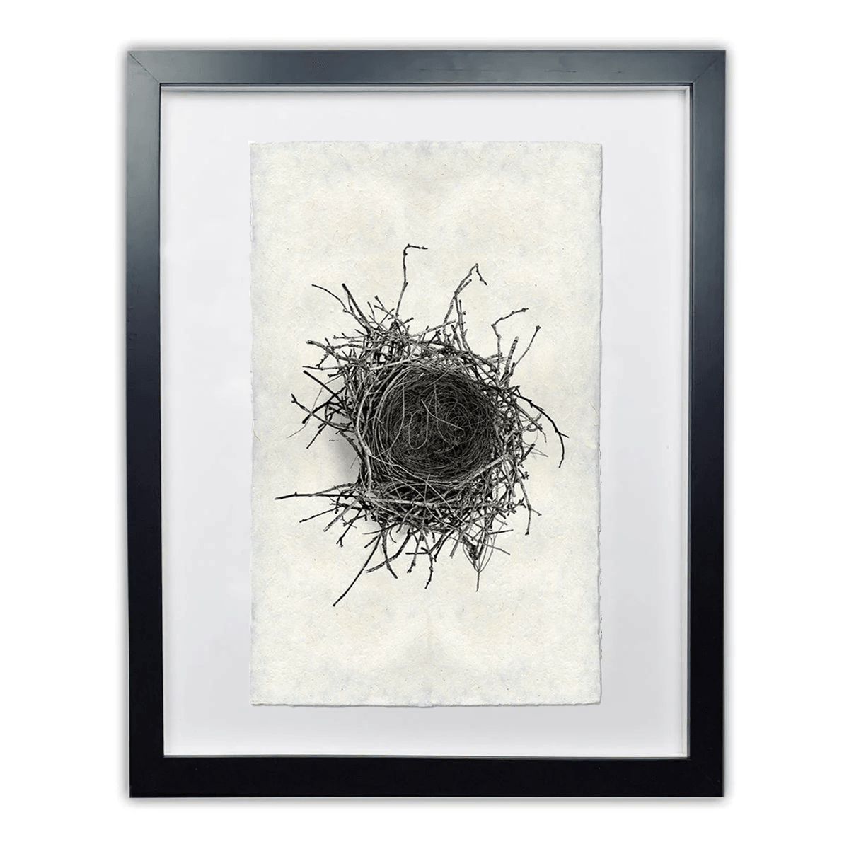 Framed Nest Study #2 wall art print on Nepalese handmade paper, black and white, by Dennis and Roy.
