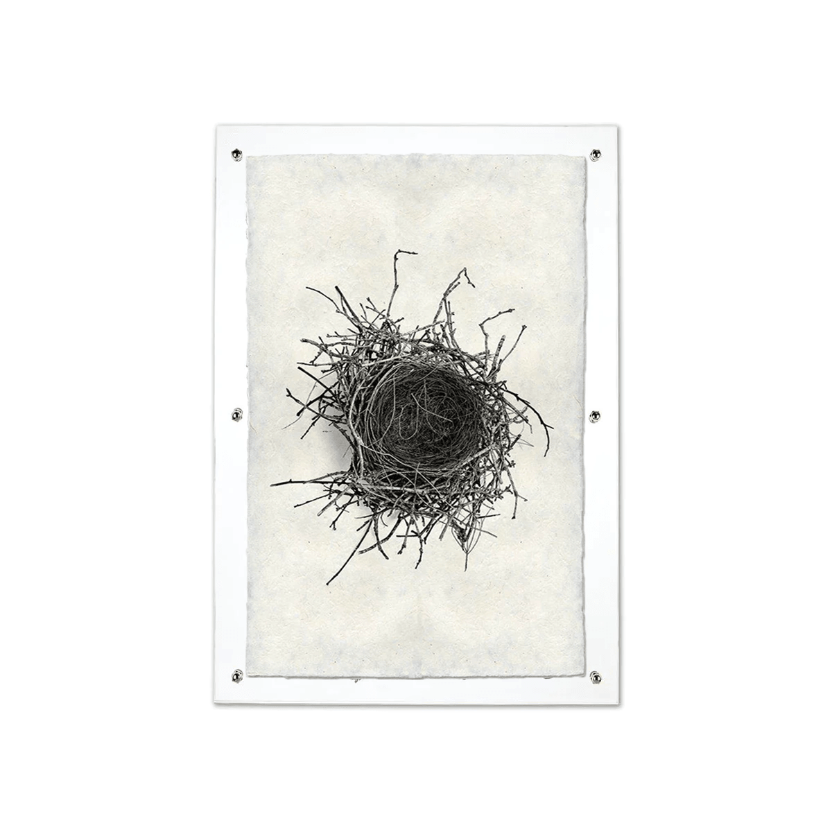 Black and white Nest Study #2 print on handmade Nepalese paper, mounted in a clear acrylic frame.