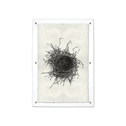 Black and white Nest Study #2 print on handmade Nepalese paper, mounted in a clear acrylic frame.