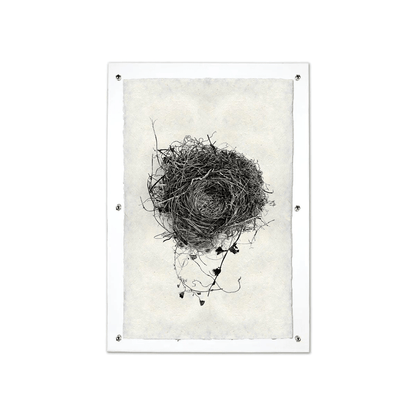 Nest Study #3 black and white print on handmade Nepalese paper, mounted in clear acrylic.