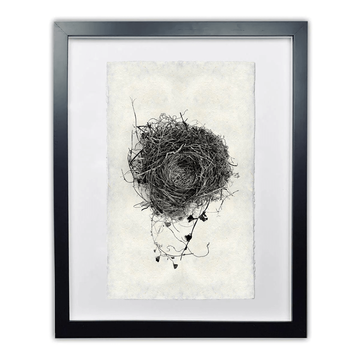 Black and white Nest Study #3 print on Nepalese handmade paper in a black frame.
