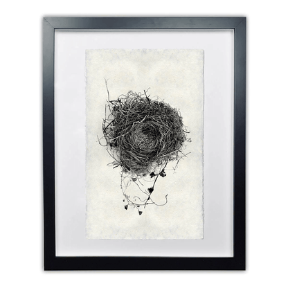 Black and white Nest Study #3 print on Nepalese handmade paper in a black frame.