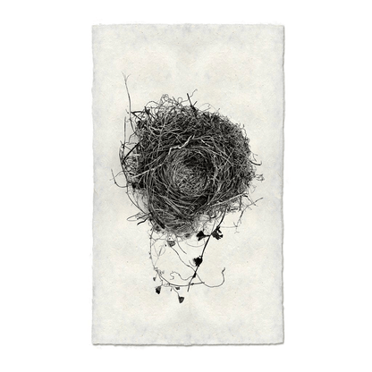 Black and white Nest Study #3 print on textured Nepalese handmade paper, featuring a detailed bird's nest.