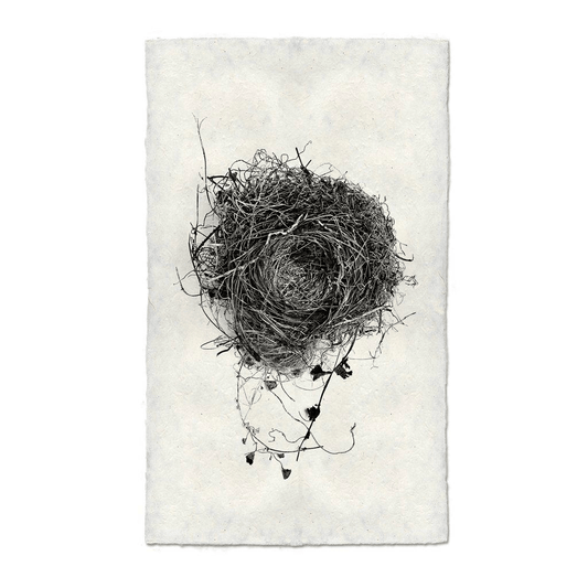 Black and white Nest Study #3 print on textured Nepalese handmade paper, featuring a detailed bird's nest.