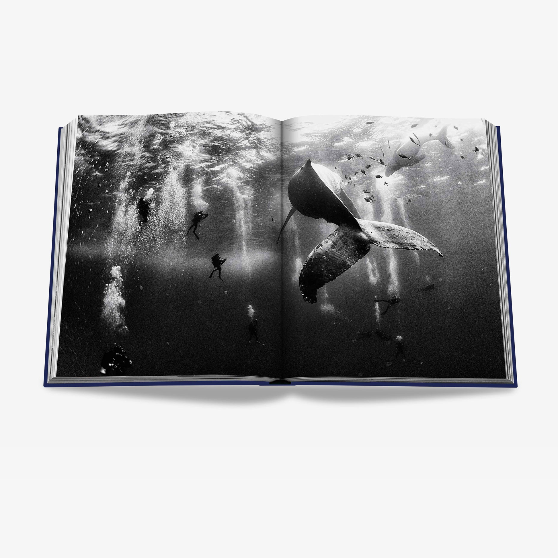 Open "Ocean Wanderlust" book, blue linen hardcover, displaying a black and white image of a whale tail and divers underwater.