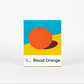 Ocelot Blood Orange Dark Chocolate bar with a blue, yellow, and orange graphic design.
