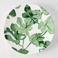 Peter Dunham + Hudson Grace hand-painted white ceramic dinner plate with green fig leaf pattern.