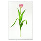 Pink tulip on English watercolor paper, a modern floral wall art print with deckled edges.