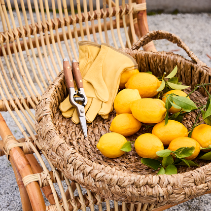 Redwood Garden Snips with stainless steel blades, brass pins, and redwood handles, next to yellow gardening gloves and lemons in a wicker basket.