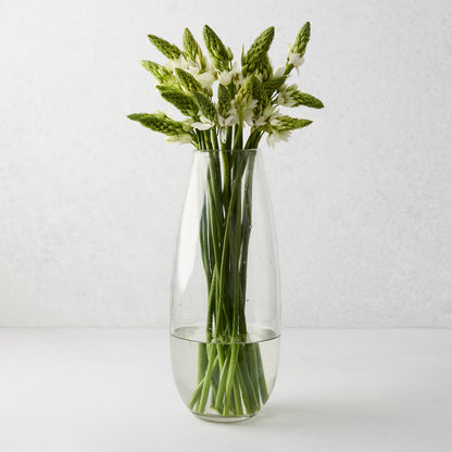 Tall, slender clear mouth-blown glass Robert Vase with green and white flowers.
