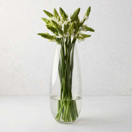 Tall, slender clear mouth-blown glass Robert Vase with green and white flowers.