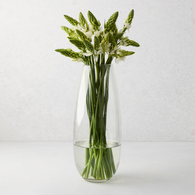 Tall, slender clear mouth-blown glass Robert Vase with green and white flowers.
