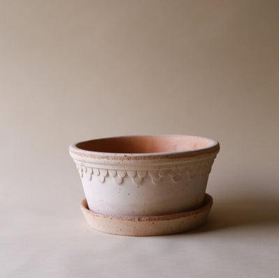 Rosa Low Terracotta Pot and Saucer, 8.3"Dia x 4.1"H, with delicate scalloped detailing.