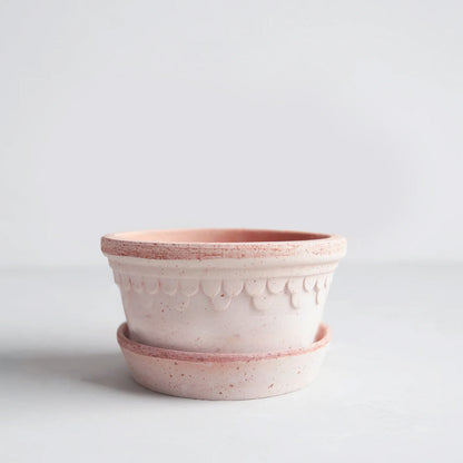 Rosa Low Terracotta Pot and Saucer, 8.3"Dia x 4.1”H, with delicate scalloped detailing.