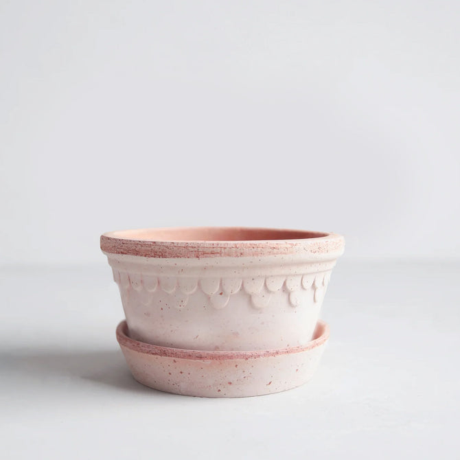 Rosa Low Terracotta Pot and Saucer, 8.3"Dia x 4.1”H, with delicate scalloped detailing.