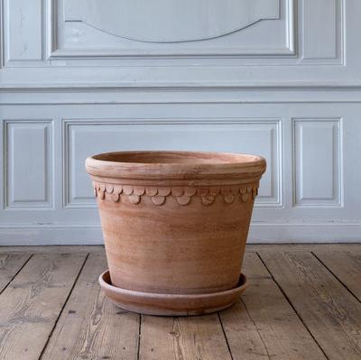 Rosa Medium terracotta pot and saucer, 8.3" x 7.3", with delicate scalloped detailing.