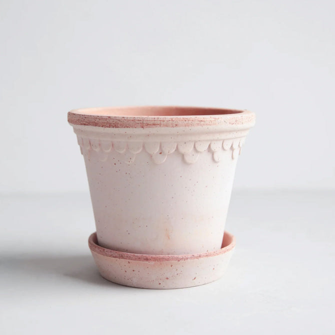 Rosa Mediuma terracotta pot and saucer, 8.3" x 7.3", with delicate scalloped detailing.