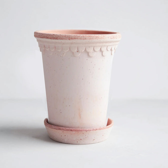 Rosa Terracotta Tall Pot and Saucer, 7.1" x 9.4", with delicate scalloped detailing.