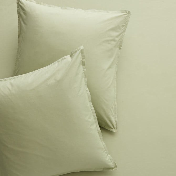 Two sage green Italian percale Euro shams with envelope closures, soft and crisp.