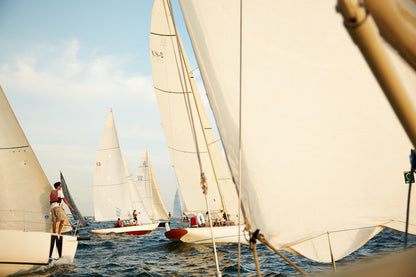 Matt Albiani's "Sailboats" photograph: white sails, blue water, and a clear sky.