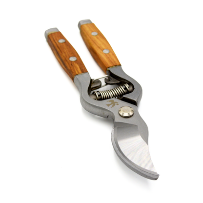 Secateurs with ash wood handles and drop-forged stainless steel blades, featuring a spring mechanism.