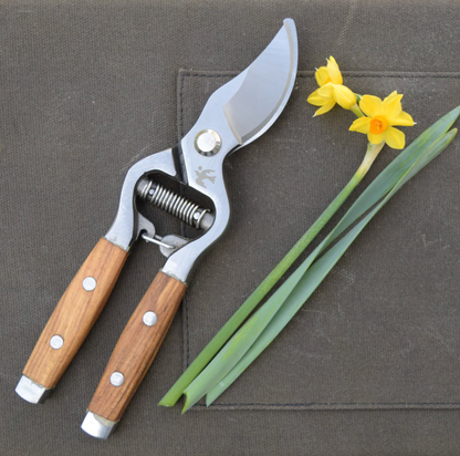 Secateurs with ash wood handles and drop-forged stainless blades, next to yellow daffodils on a dark canvas.