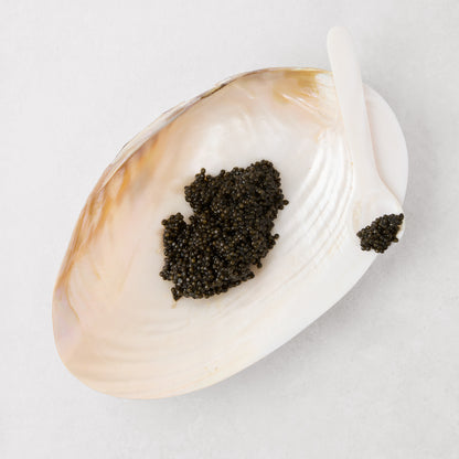 Iridescent seashell caviar dish with black caviar and a Mother of Pearl spoon.