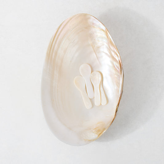 Large iridescent mother of pearl shell caviar dish with four matching small shell spoons on a white background.