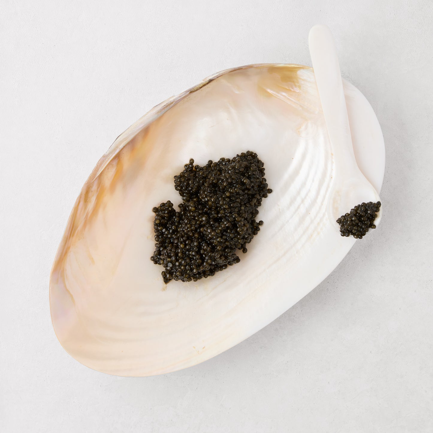Iridescent seashell caviar serving dish with black caviar and a small white shell spoon.