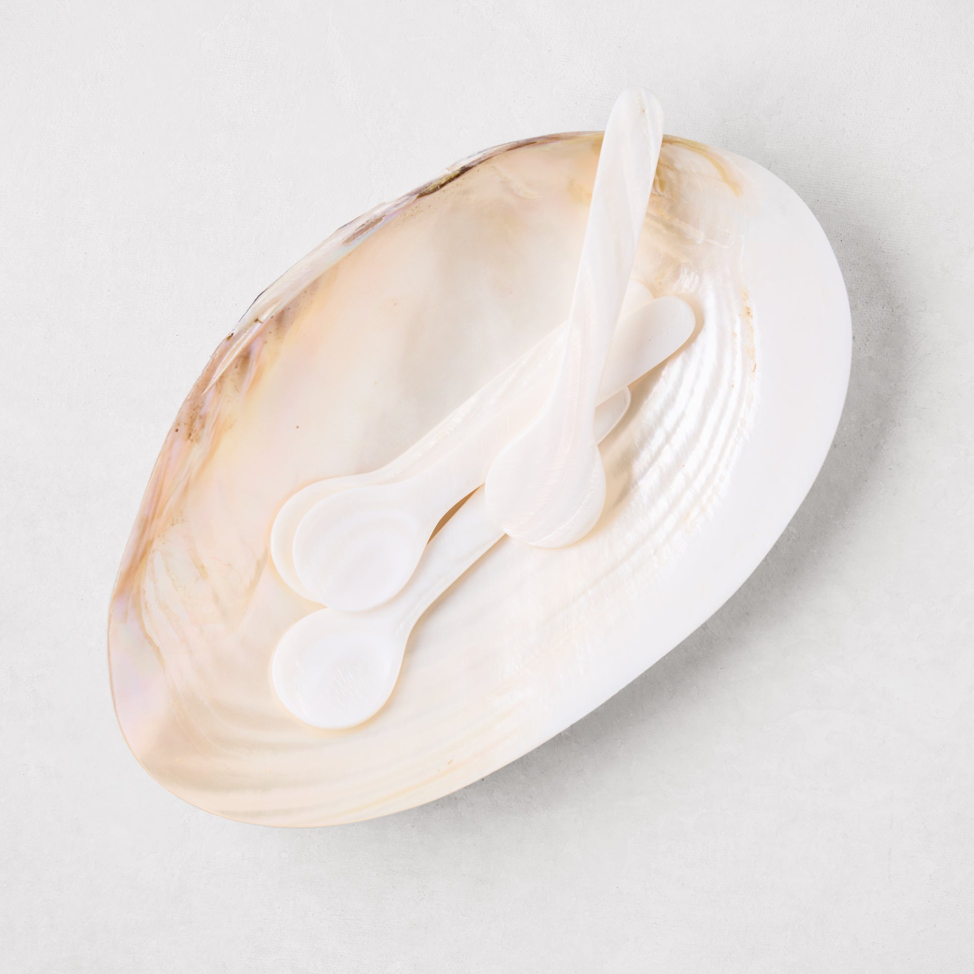 Ethically-sourced seashell caviar serving dish, 10"L x 6.5"W, with three small white shell spoons.