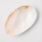 Iridescent white seashell caviar serving dish, 10"L x 6.5"W, with natural brown and pink hues.